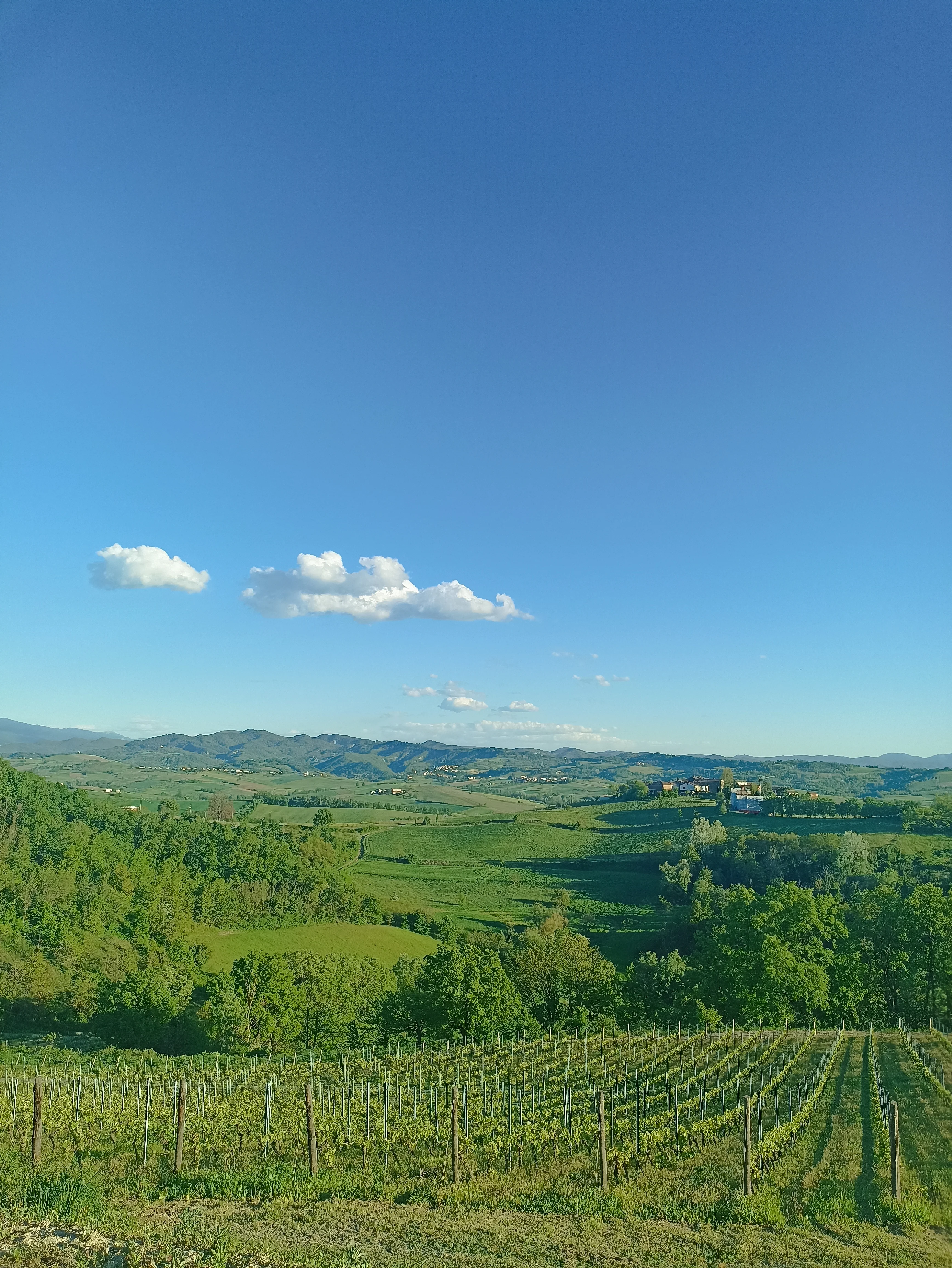 Panorama de vignobles italiens